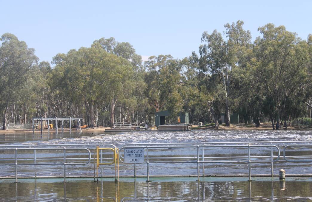 The Murray-Darling River confluence, in flood, late last year.