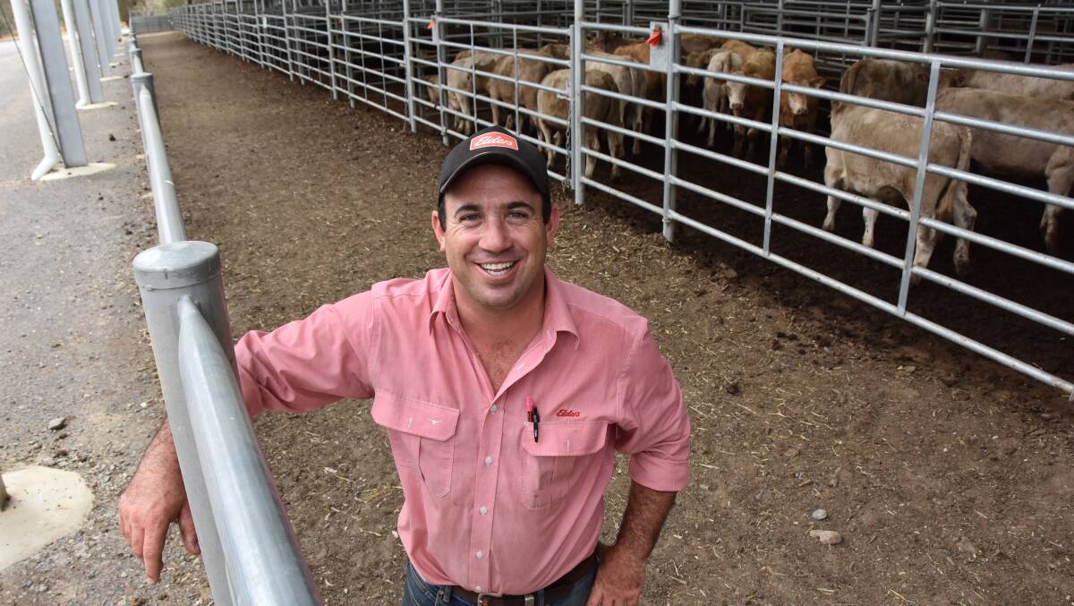 Prices were up slightly on a typical August-September yarding at Bairnsdale, says Elders livestock agent Morgan Davies. Picture supplied