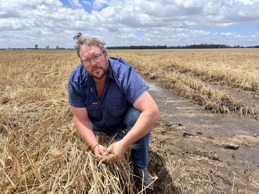 Stuart Grinter says about 85 per cent of his crop was destroyed when his property was inundated by floodwater. Picture by Bryce Eishold.