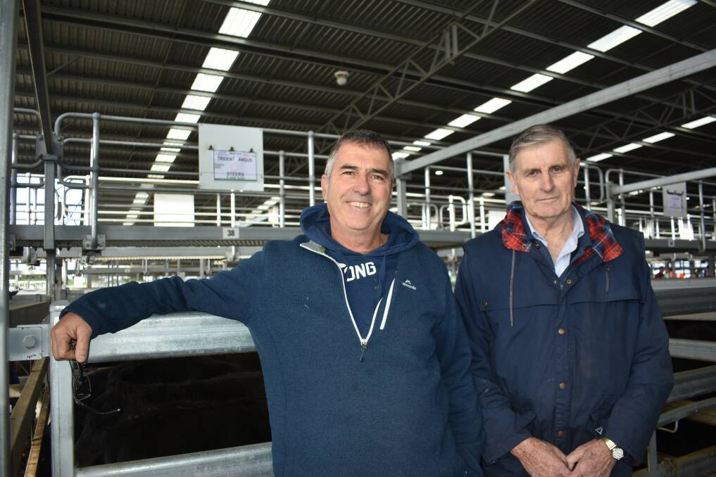 FAMILY TIES: Austin McCrabb, Trident Angus, Colac, says he's glad of the help of his second cousin Rob McCrabb in running the beef enterprise.