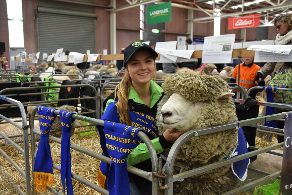 Tess Runting, Moralla Corriedale stud, with her Champion Novice ram at the Australian Sheep & Wool Show, Harry.