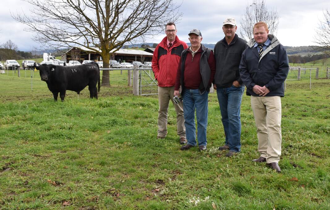 TOP BULL: The top priced bull at Anvil's 2017 Spring sale, with with Elders stud stock representative Ross Milne, stud consultant Willie Milne who bought the animal on behalf of Merlewood Angus, Anvil Angus stud principal Stephen Handbury, and Rodwells Yea branch manager Adam Mountjoy.
