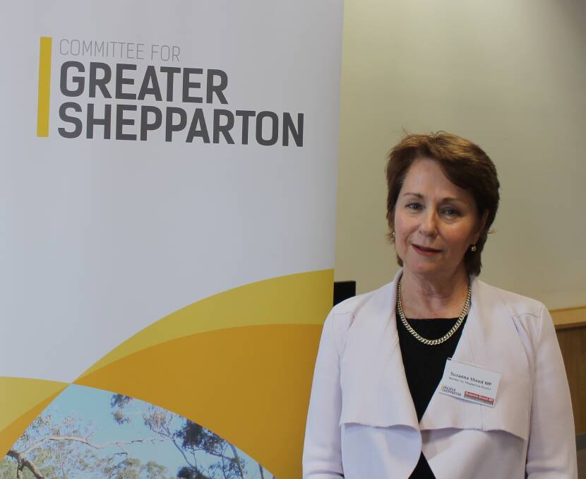 SOLAR CONCERNS: Shepparton independent MP Suzanna Sheed is among those who have raised concerns about the State Government's draft solar farm planning guidelines.