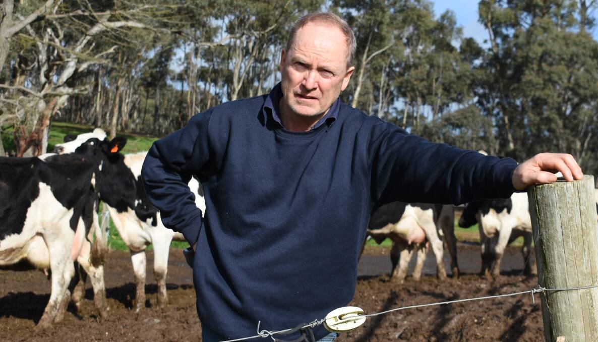 LINE CONCERNS: Yandoit dairy farmer Robert Morrison says the proposed VNI West transmission line may mean the end of his business.