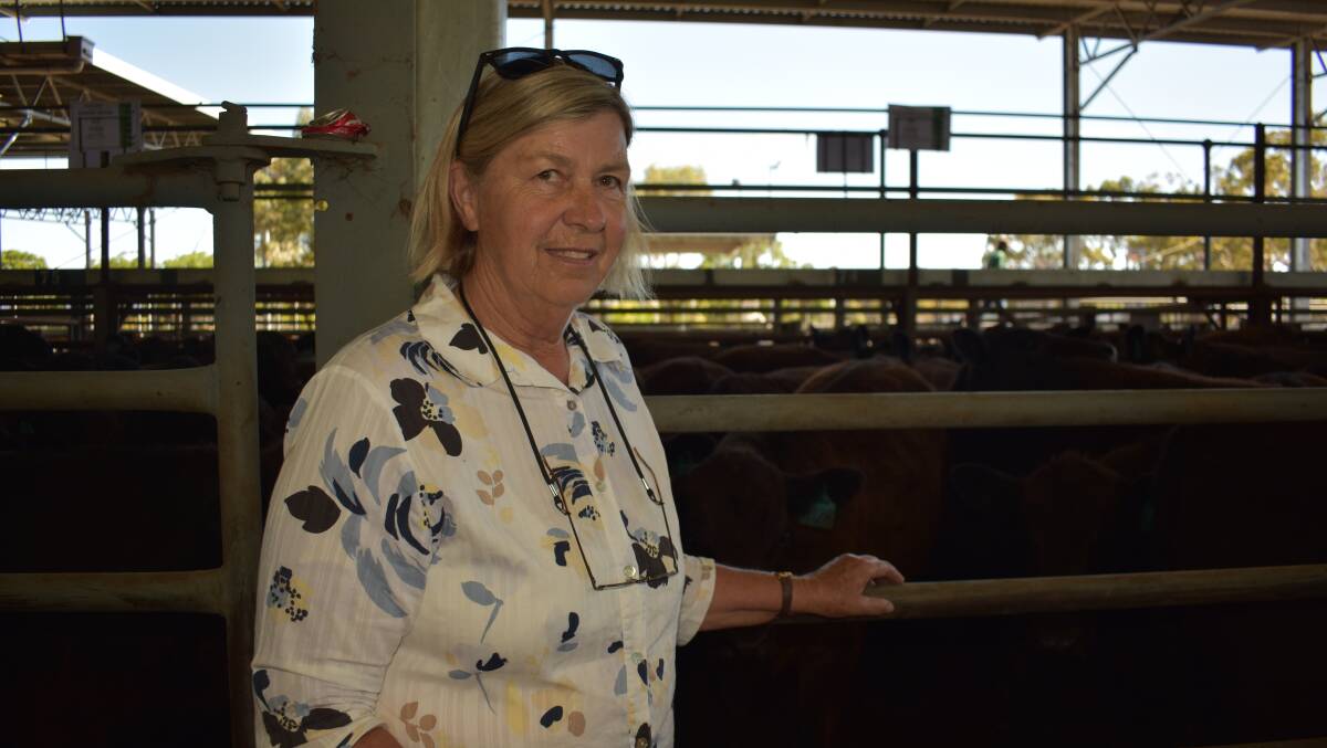 Portalington's Robyn Machin has followed in her well-known father's footsteps in breeding and turning off cattle. Here latest draft of steers was sold through Euroa in December. Picture by Andrew Miller