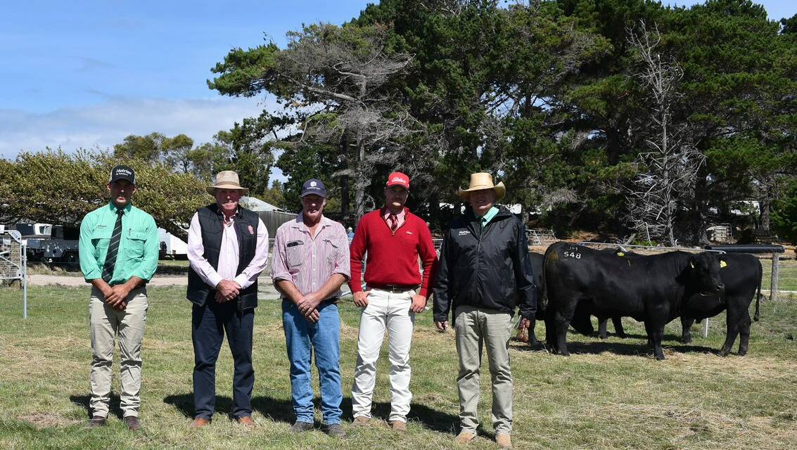 Nutrien livestock agent Graeme Bligh, the buyer of the top-priced bull David George, Lake Goldsmith Pastoral, stud co-principal Trevor Hall, Elders livestock agent Tom Febey and Nutrien livestock agent Warren Johnson with some of the bulls. Picture by Janine Elen.
