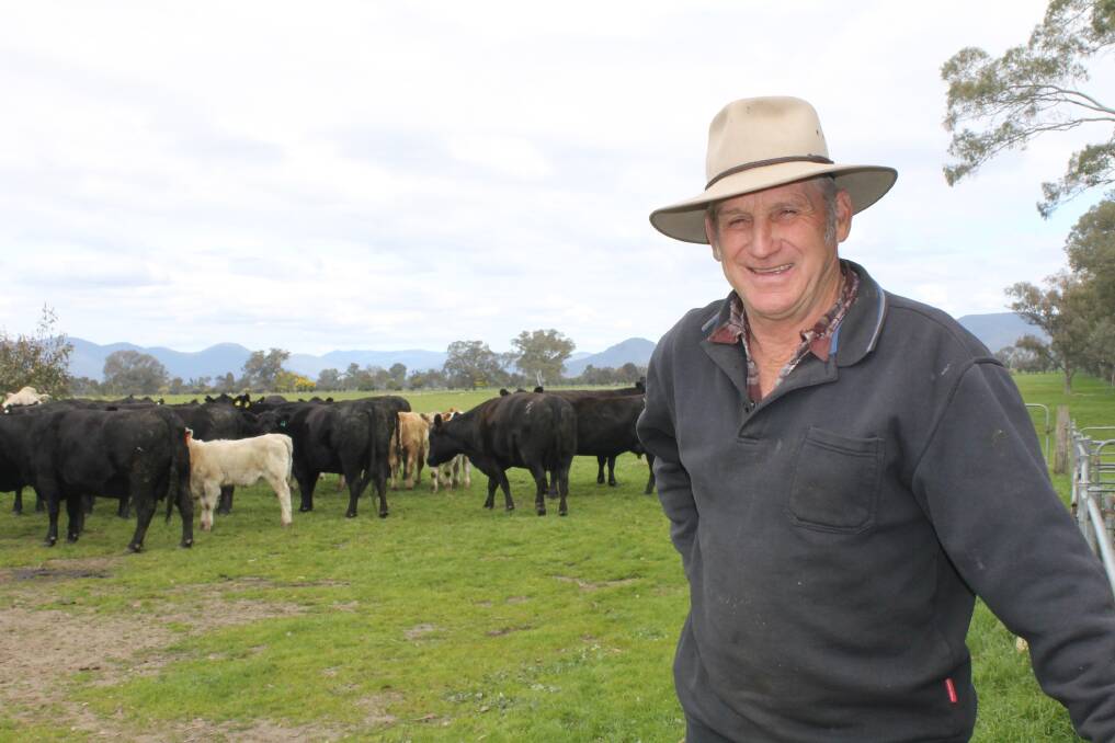 WELCOME RAIN: Jim Renkin, Lima South, said his property receive 55millimetres of rain, which had kicked along his pastures.