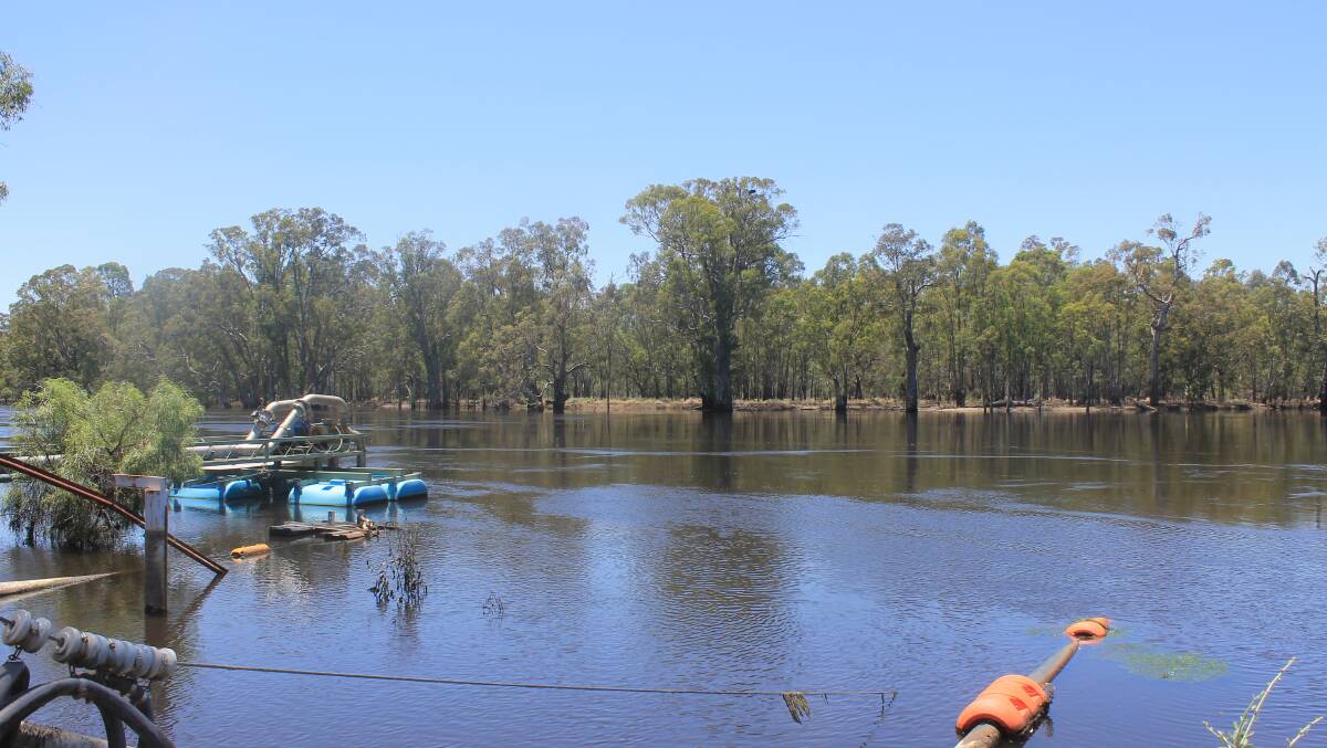 SEASONAL DETERMINATIONS: Pumps on the Murray River. Resources in the Murray system continue to improve with rainfall since the last seasonal determination assessment.