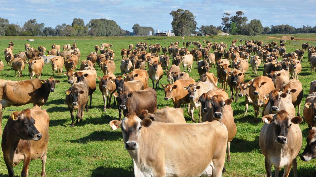 SUCCESSION PLANNING: Lawyers for Inverloch dairy farmer Gary Harris successfully appealed a challenge to a 2020 court decision on how much of the family farm he should be granted.