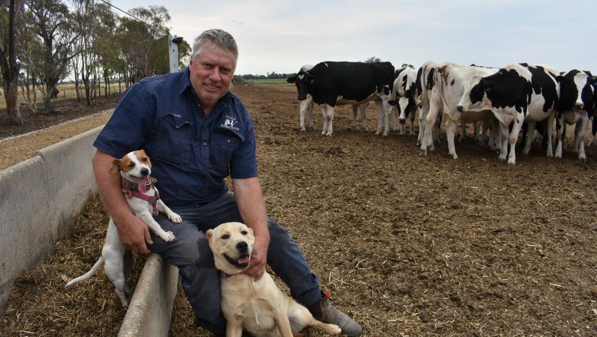 Tongala dairy farmer Andrew Tyler with farm dogs Charlotte and Poppy. Picture by Andrew Miller.
