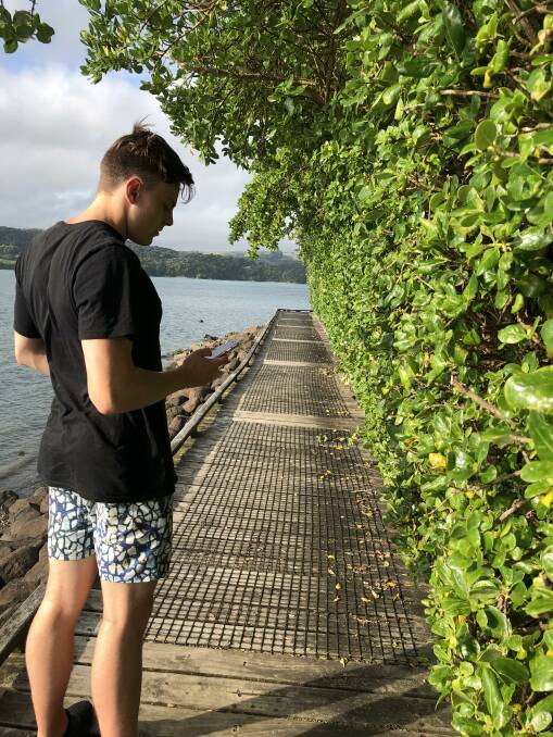 SPROUT APP: Former elite swimmer Joe Sinclair has developed an app to allow those with excess fruit and vegetables to link up with people wanting produce.