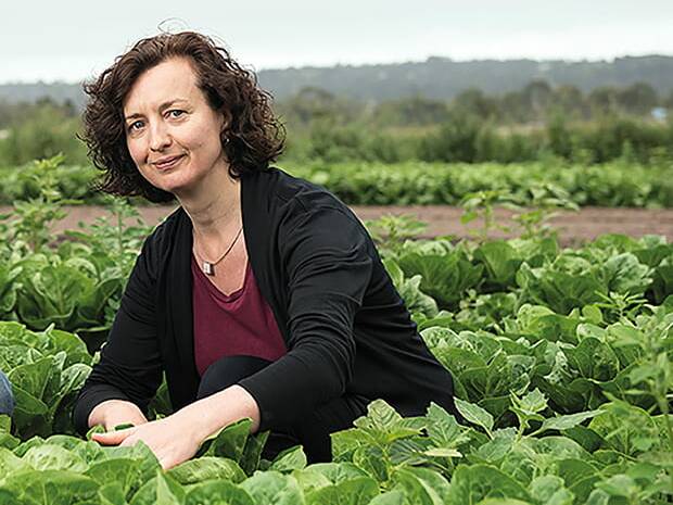 University of Melbourne Food Systems senior lecturer Rachel Carey says the action plan laid out a positive vision to protect the city's food bowl and secure its food supply, in the face of population growth and climate change. Picture supplied