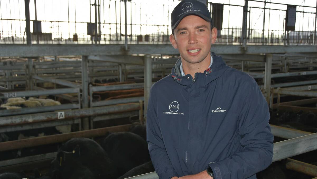 Mortlake Stock Agents Association president Jack Hickey, JM Ellis Livestock, says the most recent sale was smaller than others during the month, as it was mainly an offering of cows and calves, joined females and dairy-cross cattle. Picture supplied