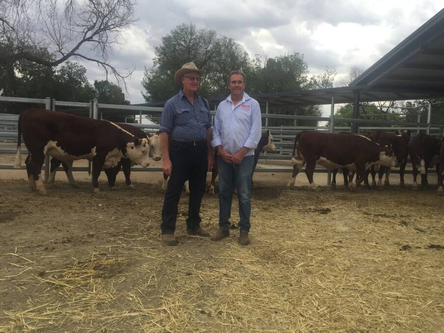 HEIFER CHALLENGE: RASV Heifer Challenge judge, Dean Afford, with Brian Burgess and his winning heifers