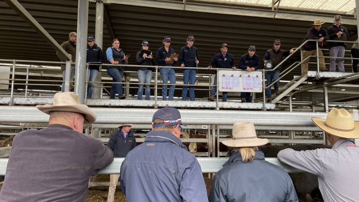 PRICE RISE: Lighter steers sold to better prices at the Wodonga store sale. File photo.