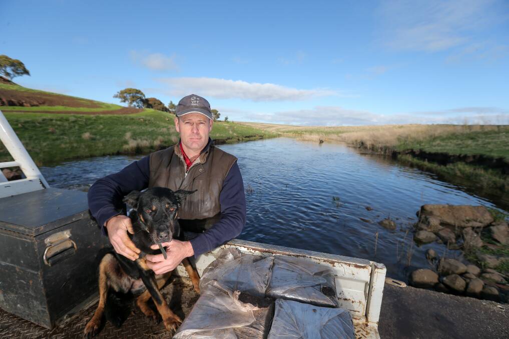 FIX RATES: Anthony Mulcahy, on a causeway with his Kelpie Buster, pays different council rates on each side of the Mt Emu Creek, which divides his Pura Pura property. Photo by Rob Gunstone.