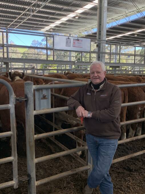 TOP SALE: Andrew Embling, Embling Rural, Alexandra, with Jimmy Swanton's Koriella pure Wirruna-blood Hereford steers.