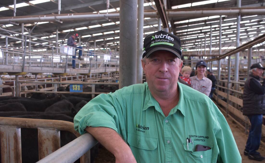 PRIME SALES: Nutrien Ag Solutions Leongatha auctioneer Brian McCormack says he's seen producers opting to push cattle, which would otherwise go to prime sales, through the store pens.