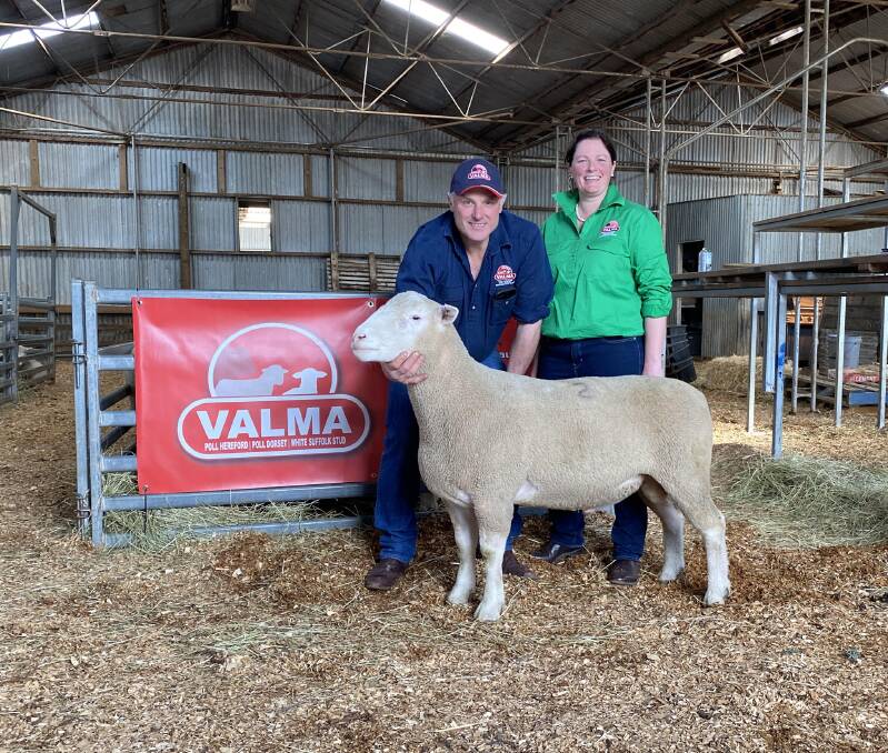 NEW RECORD: Andrew and Caroline McLauchlan, Valma Poll Dorset stud, Whitemore, Tasmania, with the record-priced Poll Dorset ram at $41,000.
