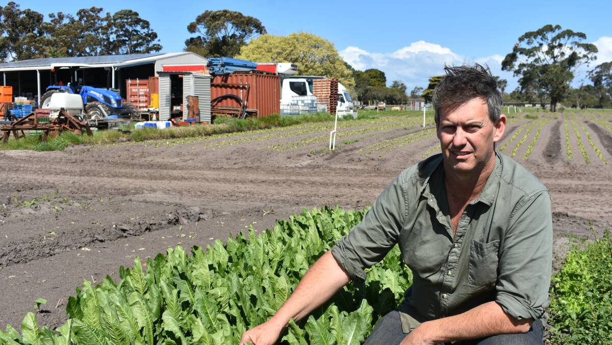Peninsula Fresh Organics co-owner Wayne Shields, who has properties at Baxter and Barham, on the Murray River, agrees with the changes. Picture by Andrew Miller