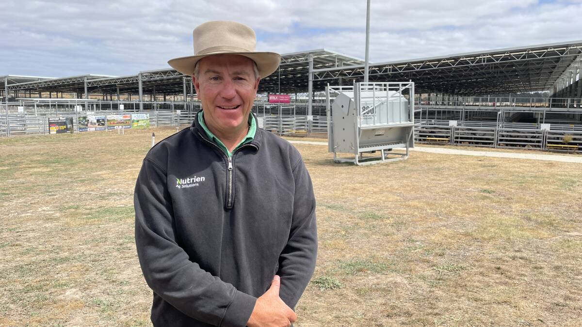 Nutrien Ballarat livestock manager and auctioneer Xavier Shanahan says the March store sale followed the easing trend of other markets. Picture by Philippe Perez