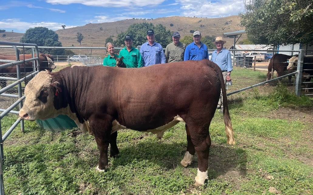 Ada Hayes, Ruffy, Tim Hayes, Tarcombe co-principal, Mick Curtis, Rodwells Euroa, Gerard Kelly, Broadford, Brian Kelly (jnr), Kilmore East, Brian Kelly (snr) Kilmore East and the top-priced bull. Picture supplied