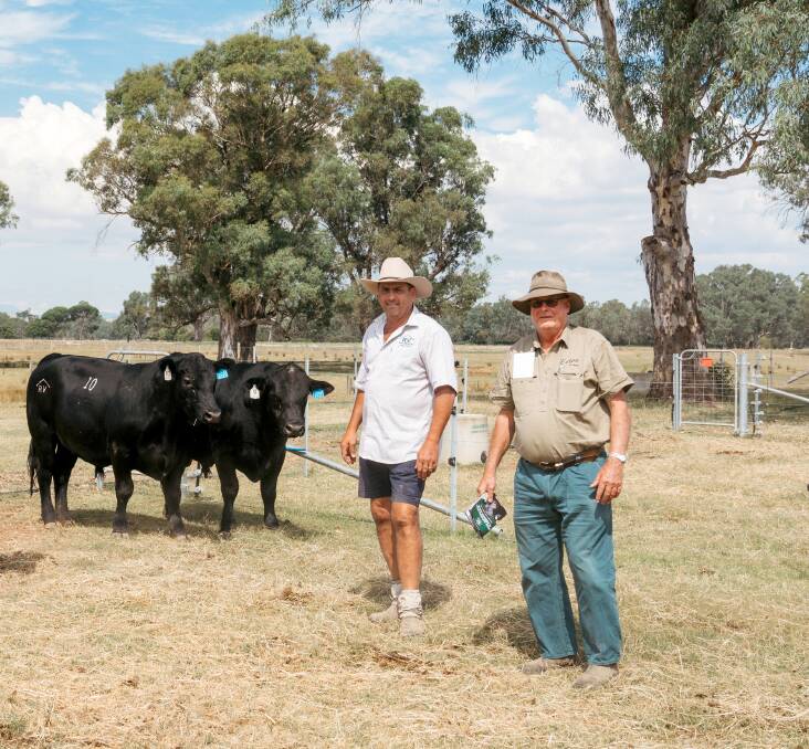 Stud principal Ian Bates, the top priced buyer Merv Steer, Eyton on Yarra, Healesville, manager and the top-priced bull. Picture by Jaccob McKay.