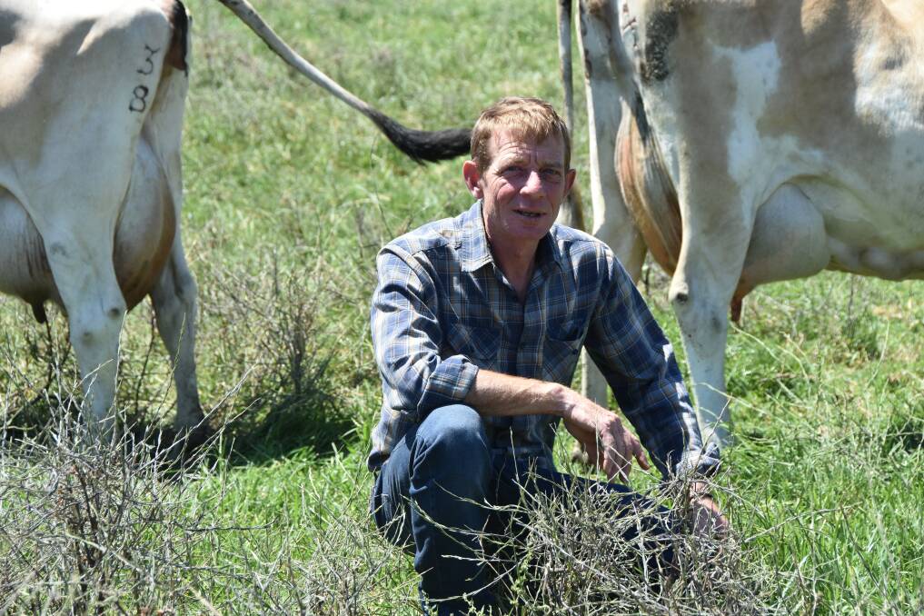 Have your say on new dairy code:UDV