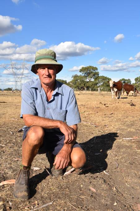 RIGHT-TO-FARM: Glen Goulburn Poll Hereford stud's Lynn Vearing, Epping, says more needs to be done to protect the right-to-farm, on Melbourne's peri-urban boundary. 