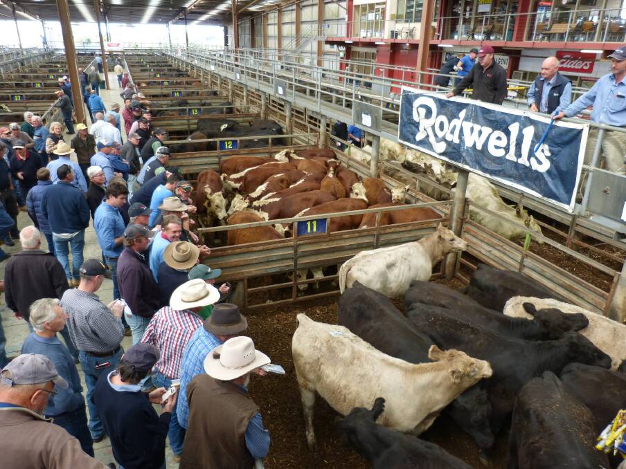 MORE RESTRICTIONS: A pre-coronavirus sale at Pakenham; now the selling centre has further tightened restrictions on the number of buyers, who can attend.