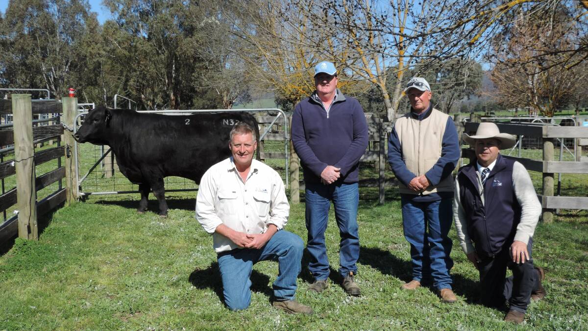 TOP PRICE: Chris Oswin, Alpine Angus, with Craig and Rob Ferguson, buyers of the top price bull and Michael Glasser, GTSM sale auctioneer.