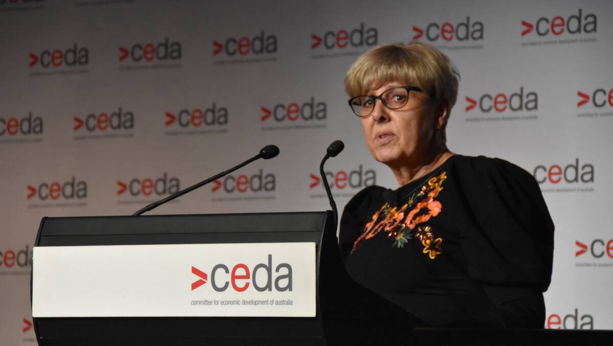 COMPLIANCE ANGST: Professor Jane Doolan, of the Productivity Commission, said compliance was still a big issue within the Murray Darling Basin.