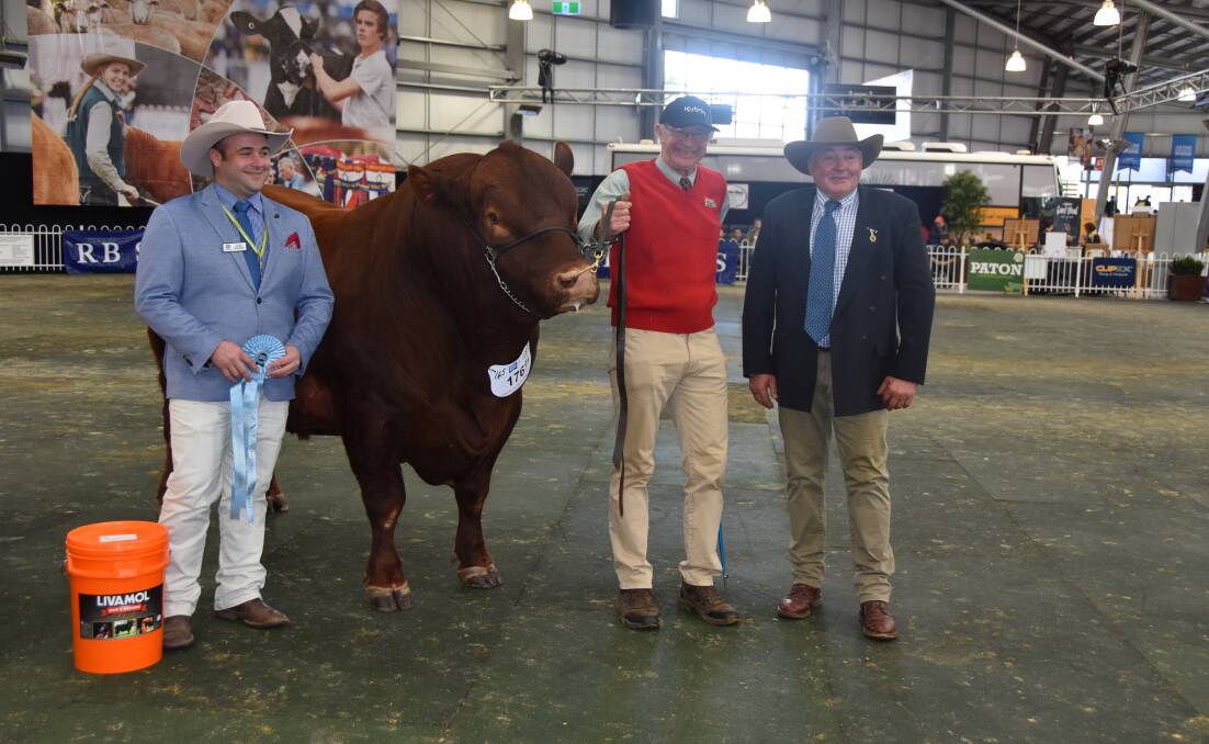 SUPREME CHAMPION: Red Cactus Joe with sponsor Chris Hillman, Red Cactus' stud's Ross Draper and Red Poll judge Peter Cook.