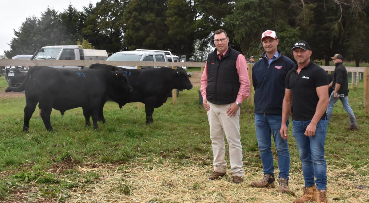 ABSOLUTE SUCCESS: Elders auctioneer Ross Milne, Alex Scott and Staff livestock agent David Setches and stud principal Anthony Pisa with the two top-priced bulls.