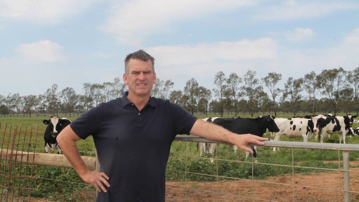 SHEPPARTON BACKGROUNDER: Andrew Christian said he was a "backgrounder" , growing out dairy heifers and producing beef cattle.