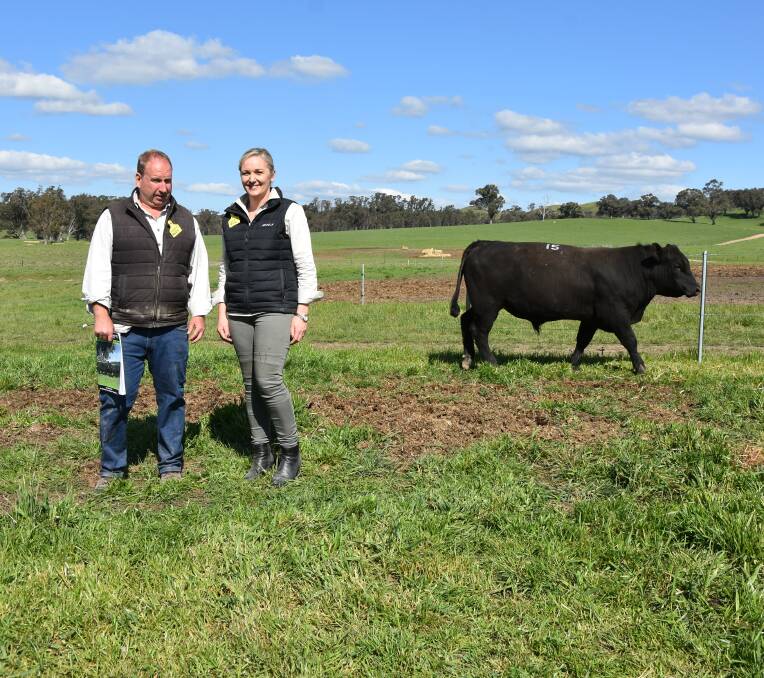 SALE TOPPER: Harry and Ruth Lawson, with the sale topping bull, Lot 15, Lawsons Judd, N25.