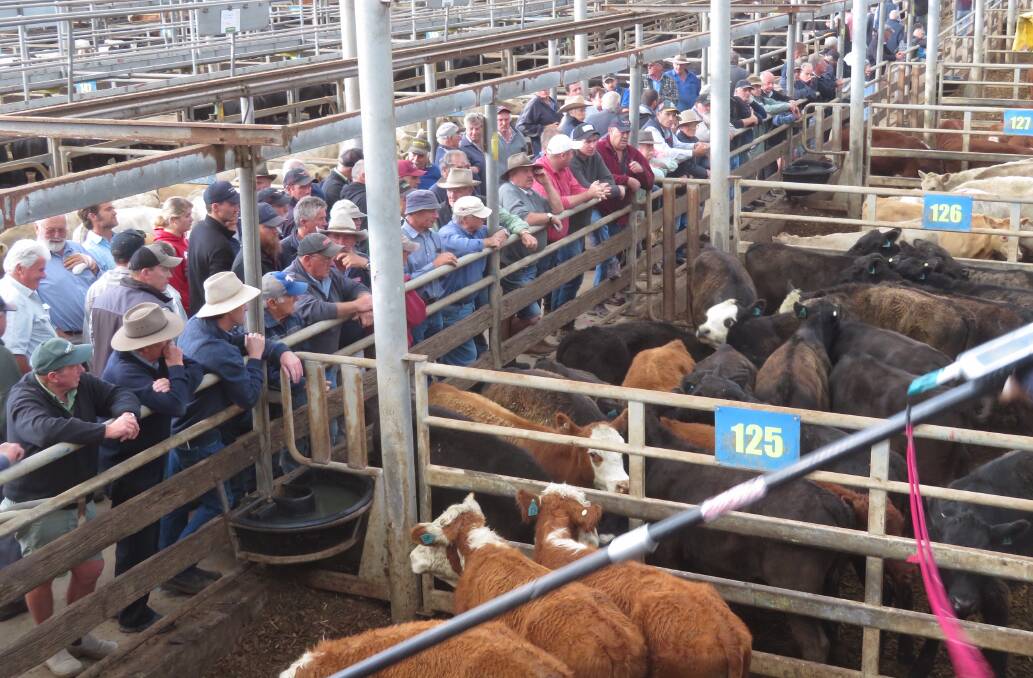 SALEYARDS RESTRICTIONS: Some Victorian saleyards are moving to restrict the number of people, who can attend markets.
