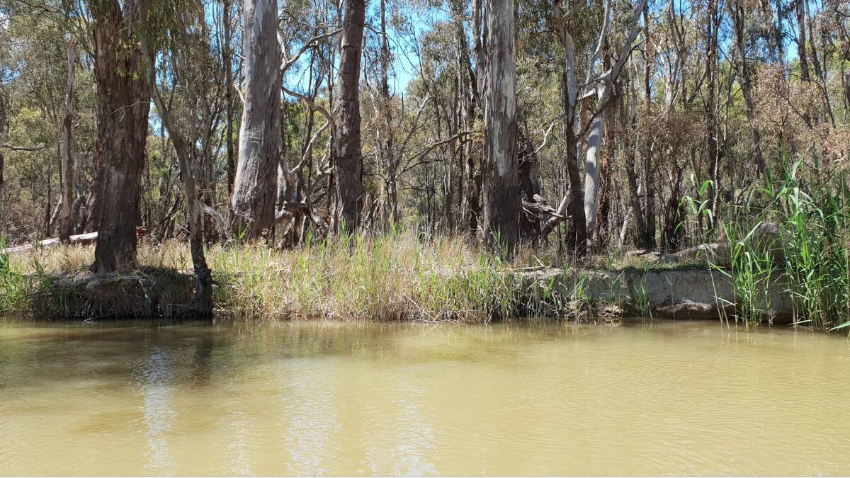 Work is progressing on ways to improve water flow, downstream of the Barmah Choke. Picture supplied