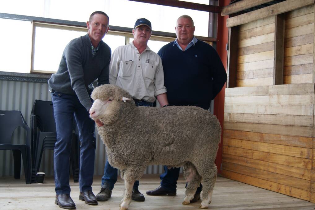 TOP SELLER: Tim McShane, Stockman Stud co-principal, Chris Gunn,Tea Tree Tasmania and Tony Bradfield, Australian Wool Network, with the top selling ram.