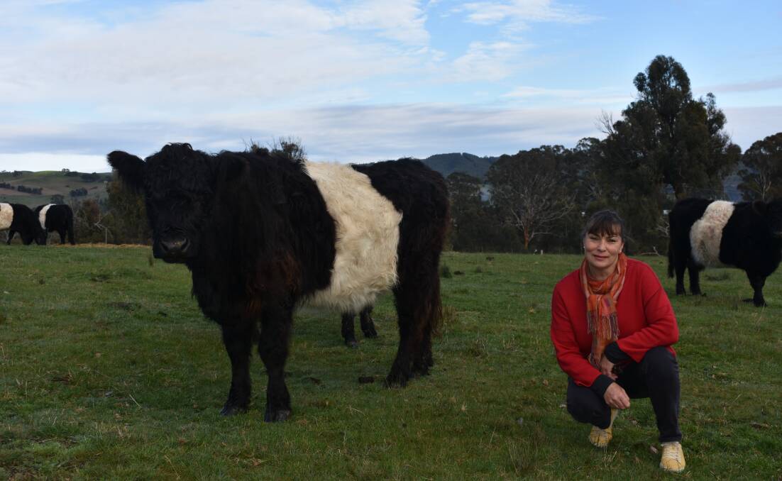 FEE HIKE: Warialda sends its cattle to Hardwicks but co-founder Lizette Snaith, says recently the company introduced a massive hike in its "service kill" costs.