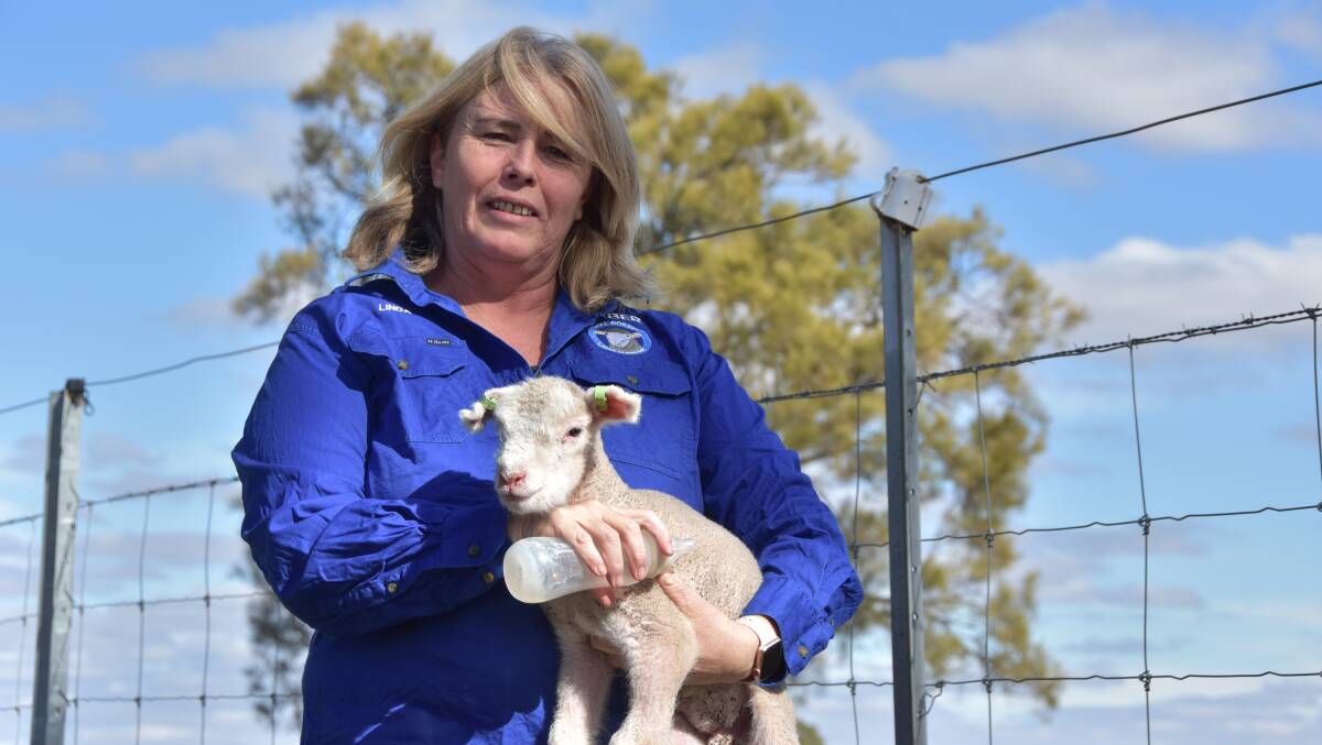 CHANGING TIMES: Farrer voter, Deniliquin's Linda Fawns, says the election has brought up some interesting challenges.