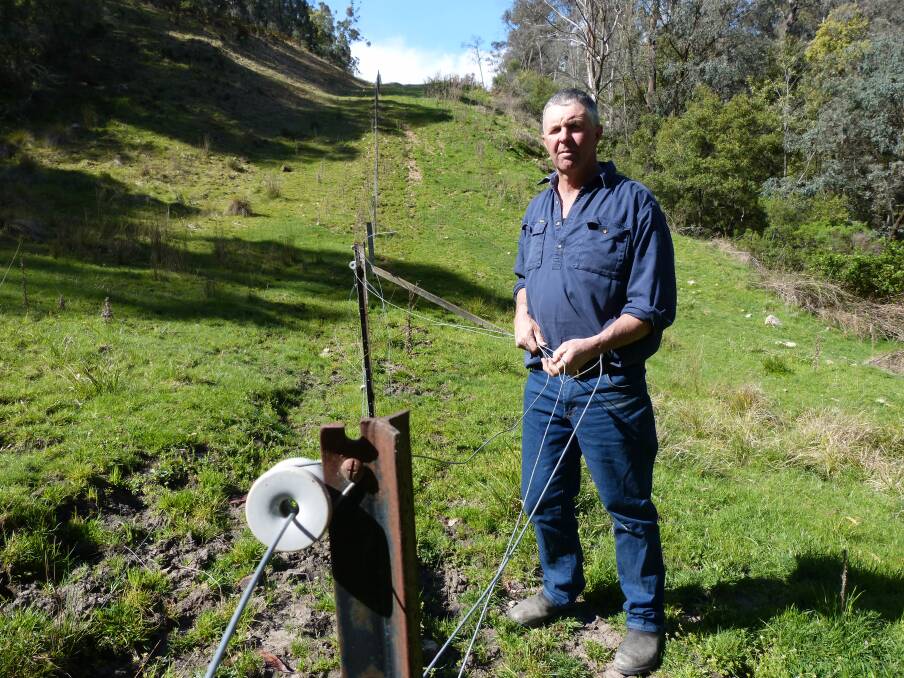 WORK TO BE DONE: Simon Lawlor, Omeo, says he is repairing fences "smashed" by wild deer on a weekly basis.
