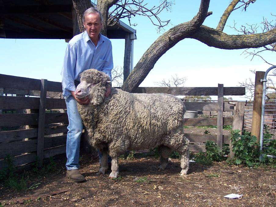 EARLY ADOPTER: Rick Robertson, Gippsland Merino breeder, was an earlier adopter of the DNA Flock Profile test. 