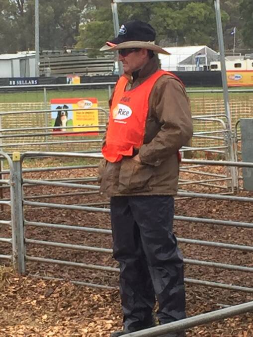 Look out: Victorian Farm Dog Championship judge Roland Pell concentrated as he assessed competitors in the final round.