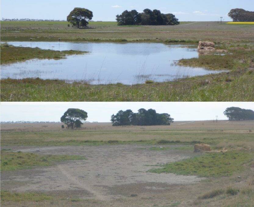 WET OR DRY: South-west Victorian farmers have been urged to resist the temptation to  crop wetlands, left dry by the latest seasonal conditions.
