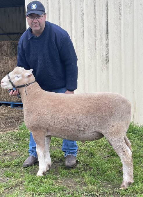 TOP PRICE: Will Milroy, Rangeview Park, Pipers River, Tasmania, sold this Poll Dorset ram for $23,250.