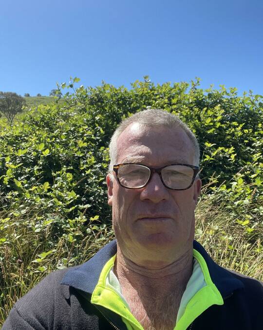Victorian Farmers Federation Livestock Group vice-president and Bethanga beef and sheep producer Peter Star says blackberries are a real problem on his property. Picture supplied