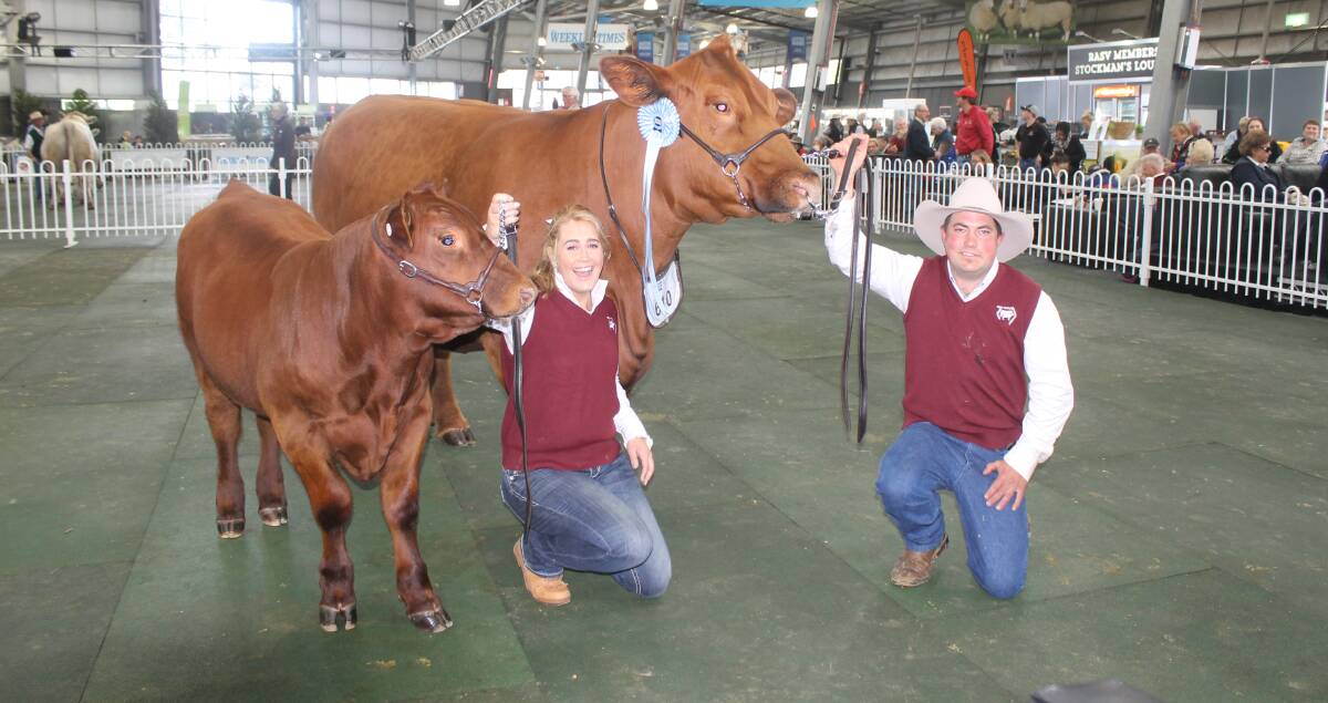 ALL SMILES: Handlers Nyssa Kelly and Pat Halloran with the Red Angus Supreme Exhibit, GK Red Ruby Stone H2 and her calf.