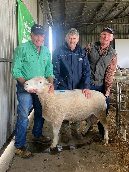 TOP RAM: Nutrien Greenwood livestock agent Ian Baker, the buyer of the top-priced ram Michael Bracecamp and Pinora study co-principal Kelvin Sunderman.