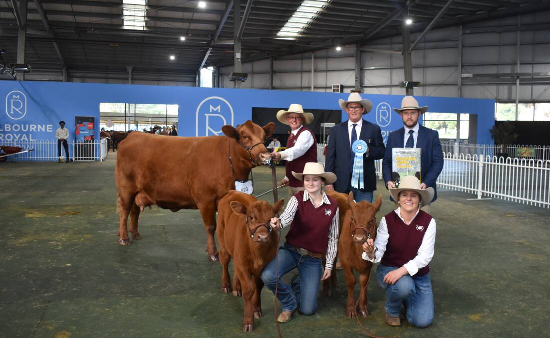 Red Angus Melbourne Royal Show.